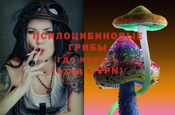 бошки Лихославль