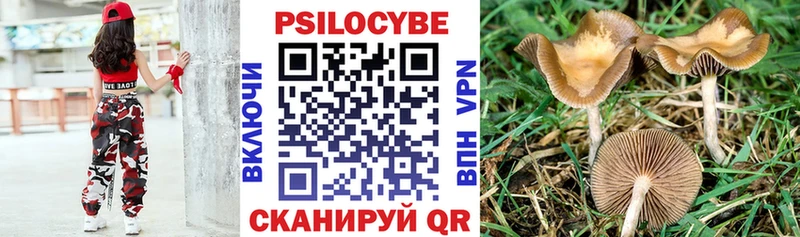 Купить  Тулун  Псилоцибиновые грибы прущие грибы 